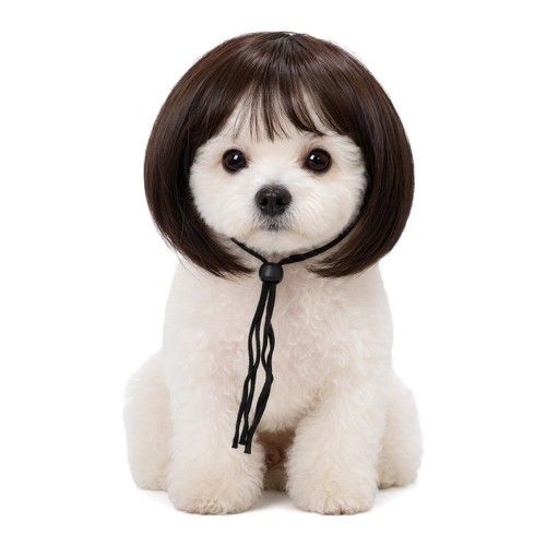 Funny wig for - wig,