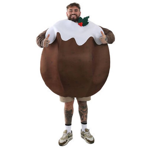 Adult unisex christmas pudding - adult,