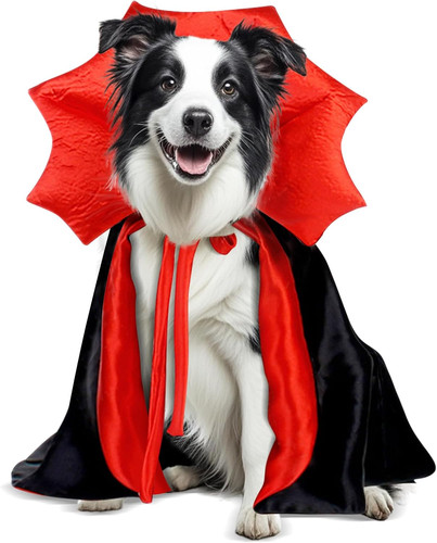 Halloween costumes for medium - halloween,