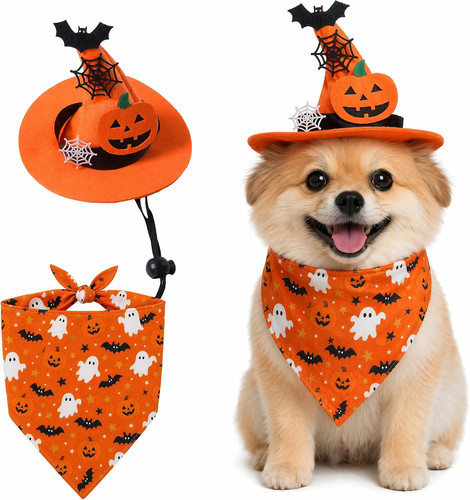 Dog halloween - dog,
