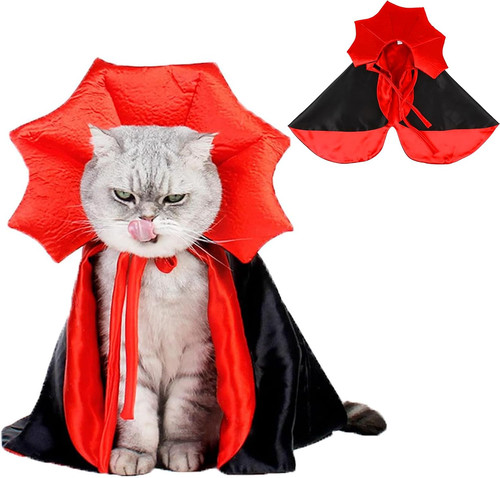 Dog and cat halloween costume - dog,